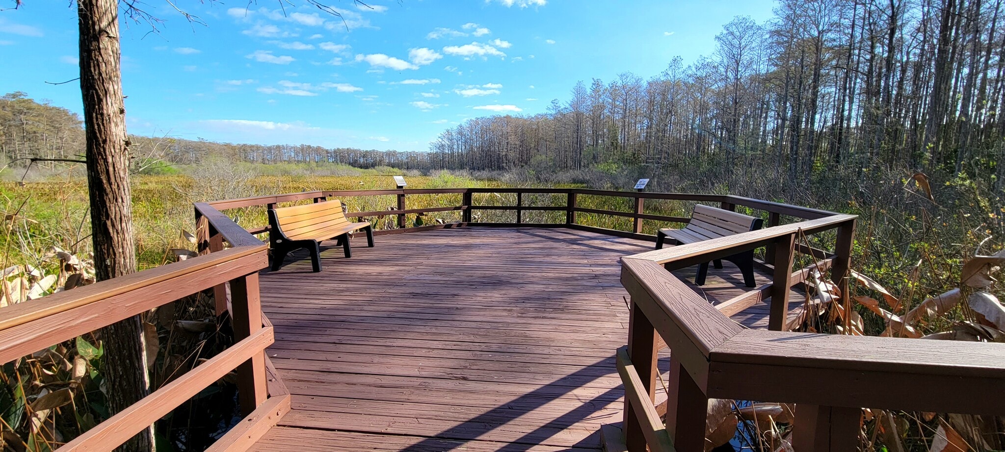 Building Photo - 10021 Colonial Country Club Blvd