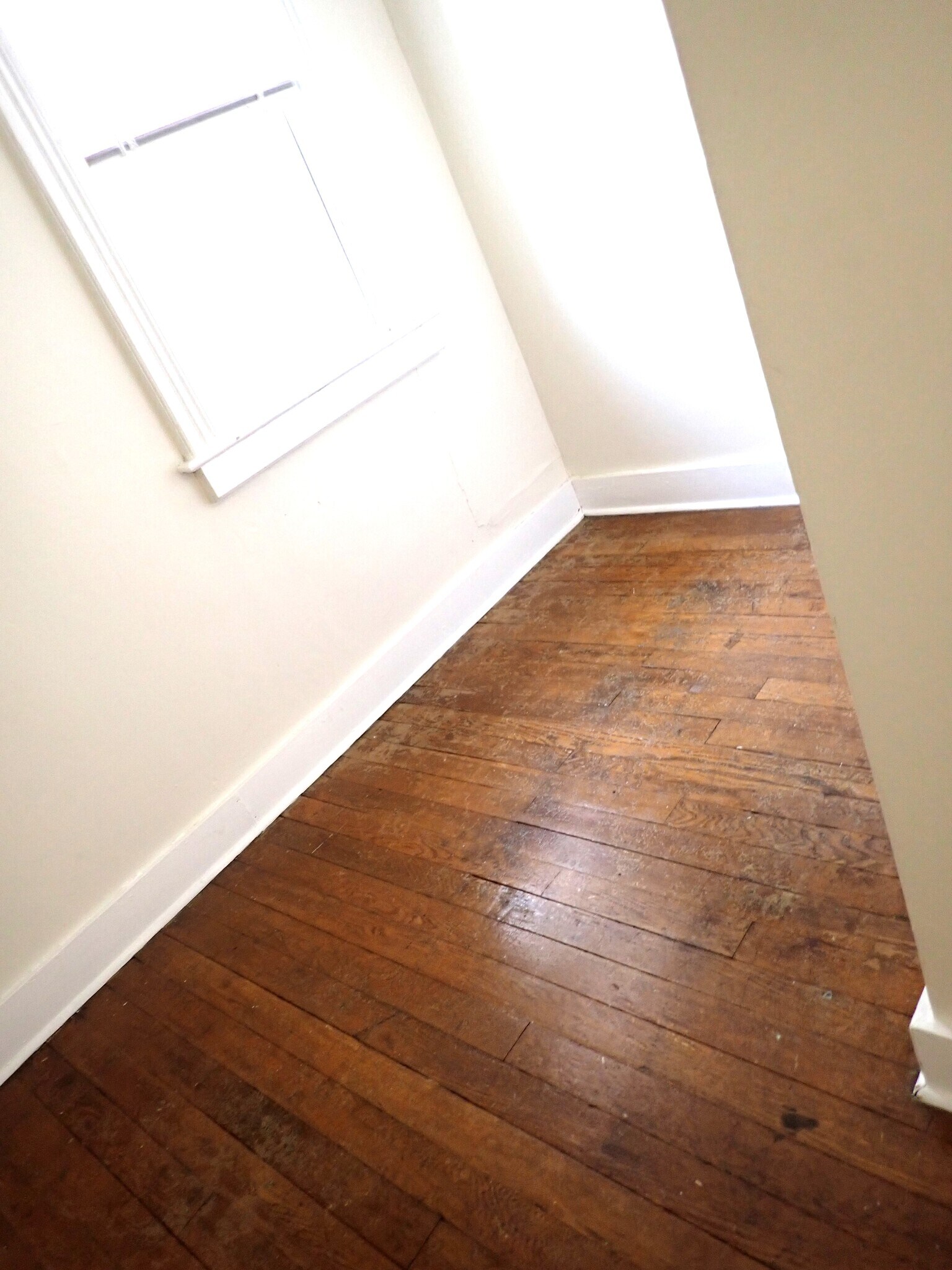 small den/office/ large walk-in closet - 12 Grove Ave