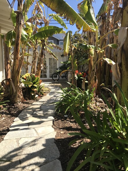 A winding path through a banana grove leads to the casita. - 317 La Mesa Ave