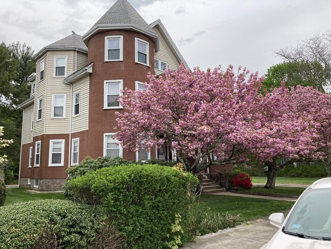 Building Photo - 48 Seaver St