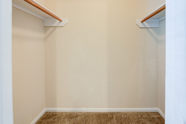 Building Photo - 4910 Conifer Ridge Way