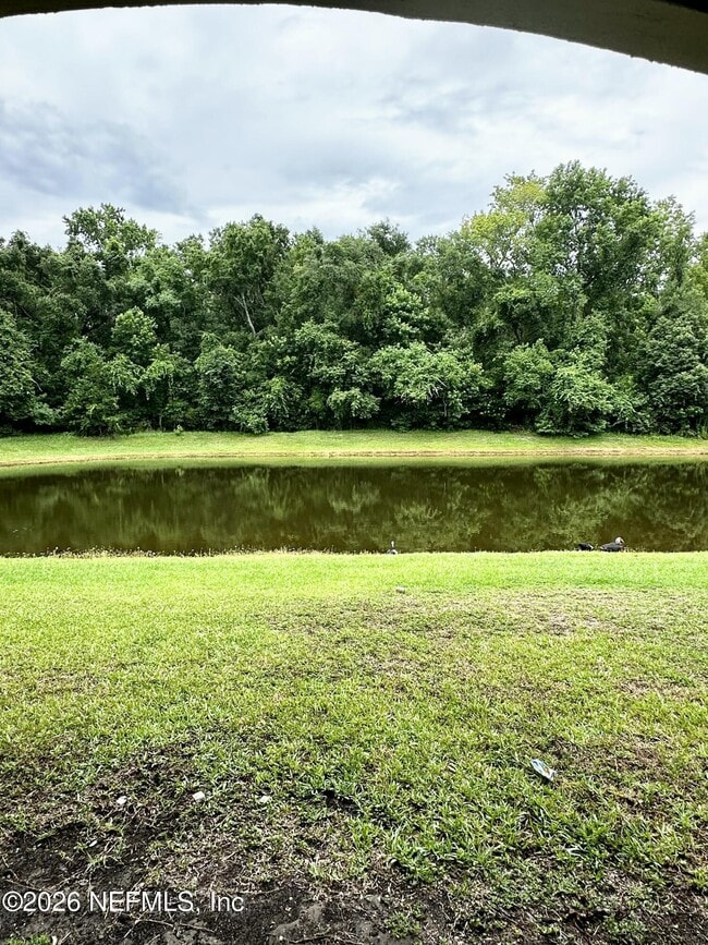 Building Photo - 6985 Ortega Woods Dr