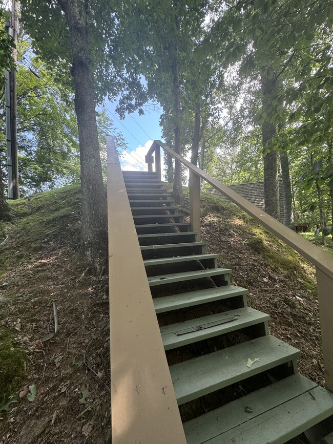 Building Photo - 53 Bold Springs Ln