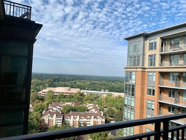 Building Photo - Beautiful 1 BR plus den 2 BA luxury condo ...