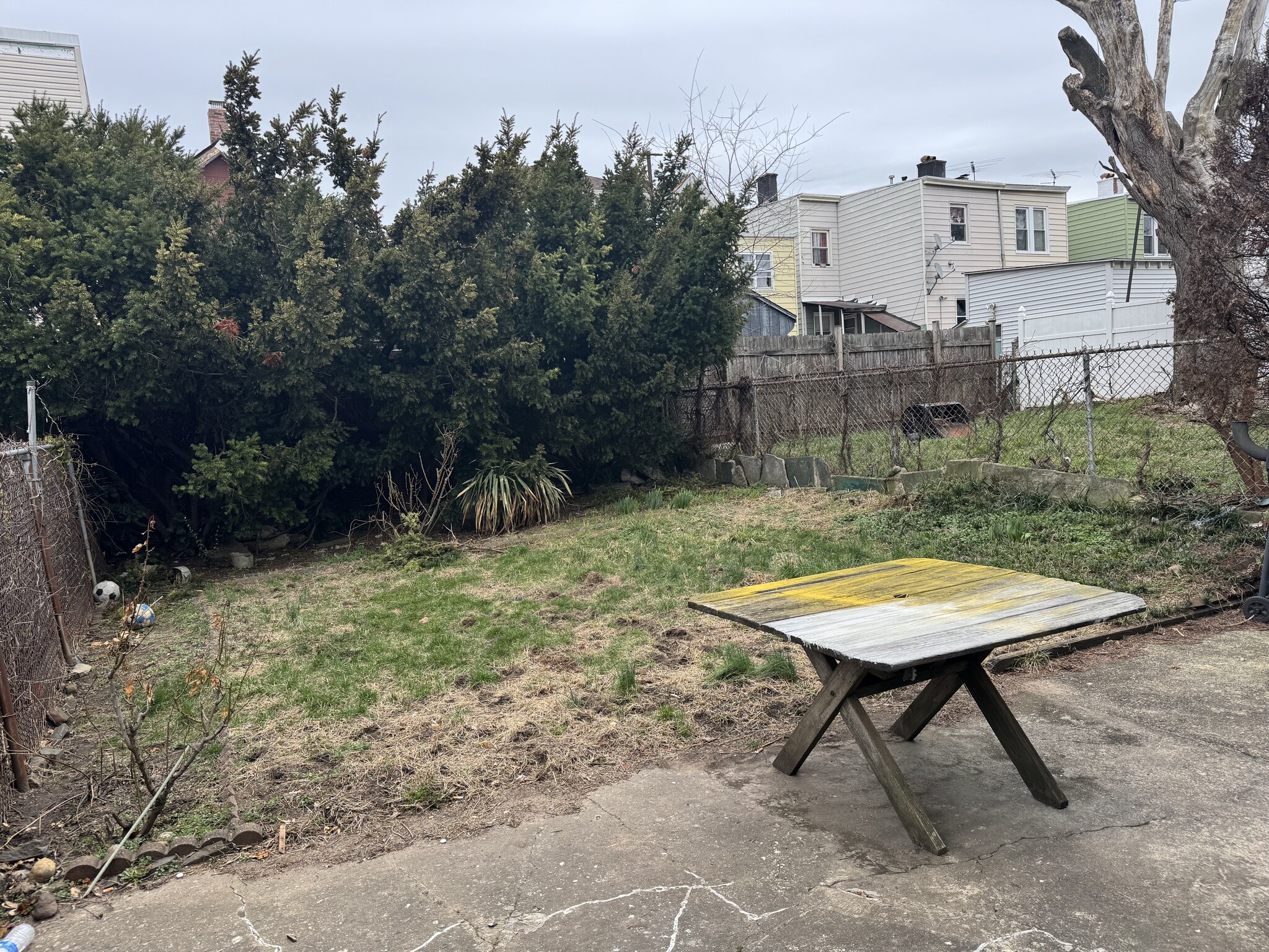 Backyard - 76 Greenville Ave