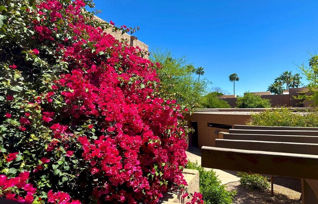 Building Photo - 7401 N Scottsdale Rd