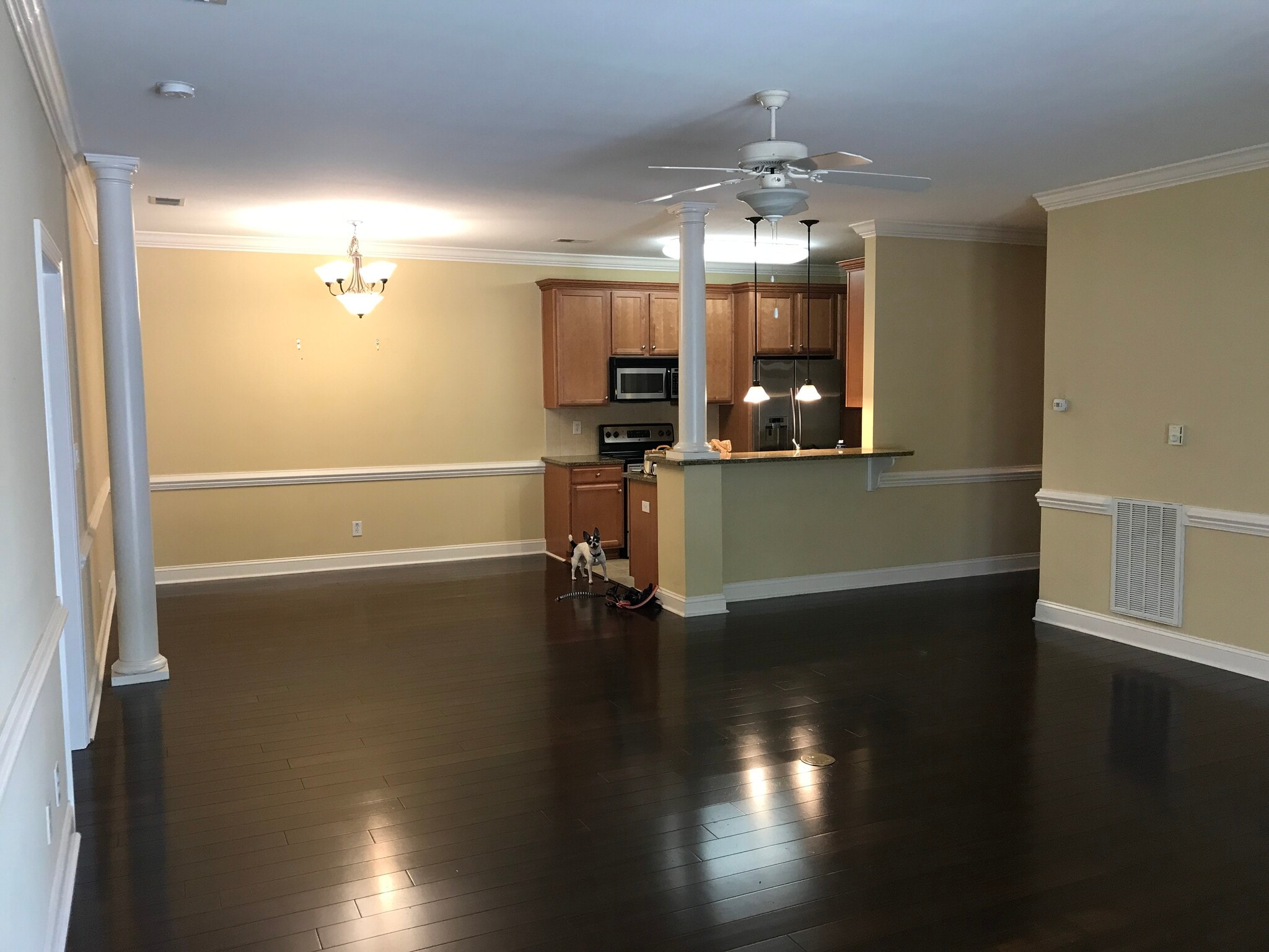 kitchen open to living room and dining area - 1931 Dante Ln