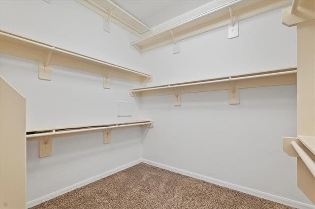 Building Photo - 3238 Throckmorton St