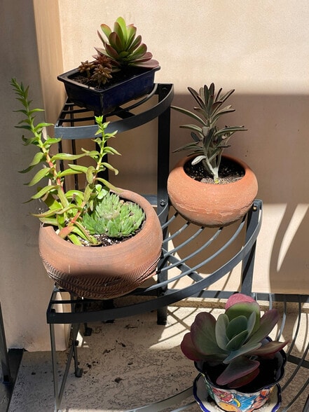 Building Photo - 1949 Parnell Ave