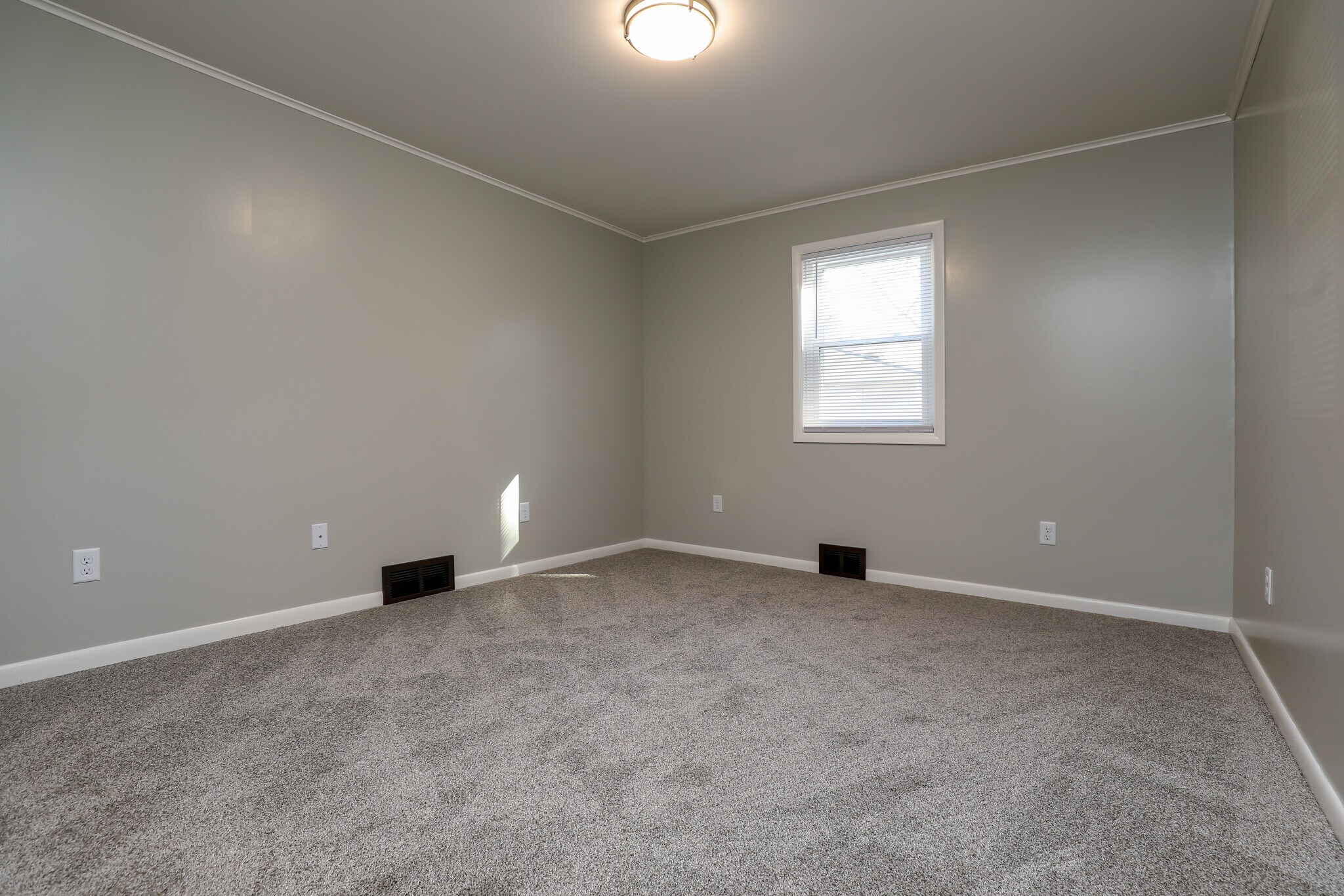 Building Photo - 409 Mineral Springs Ave