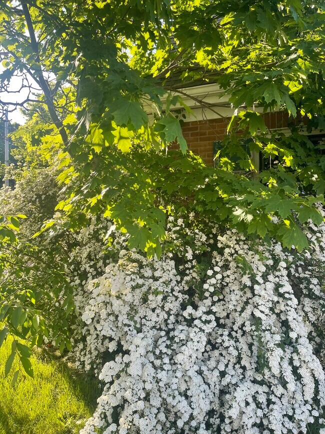 Building Photo - 95 Noble St