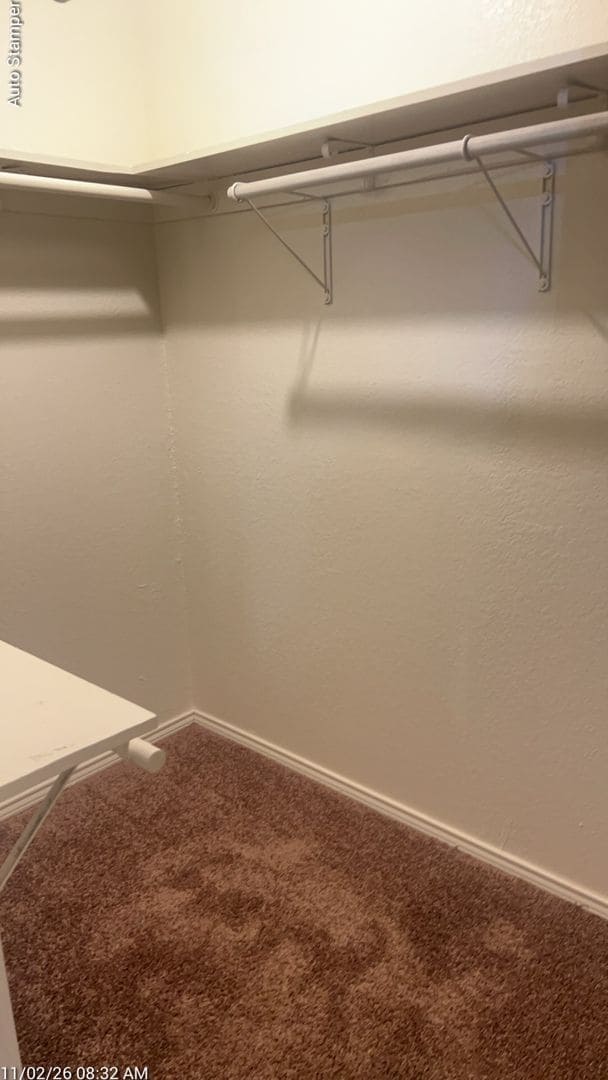 Building Photo - 3805 Braden Ln