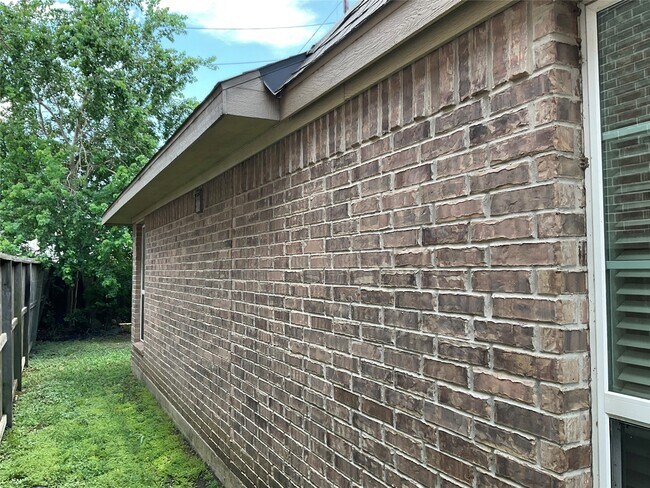 Building Photo - 907 Daffodil View Ct