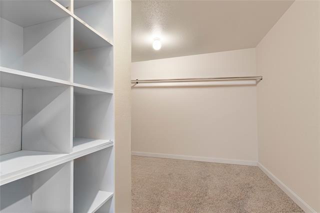 Building Photo - 3319 Everly Dr