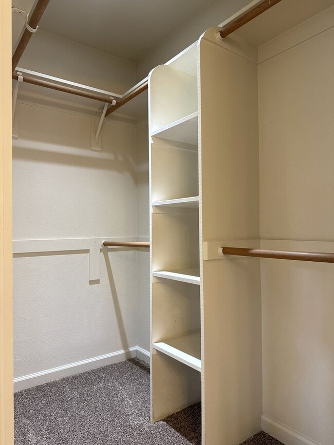 Building Photo - Adorbs 3/2 available NOW!!!