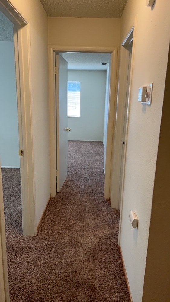 Building Photo - 6516 Briartree Way