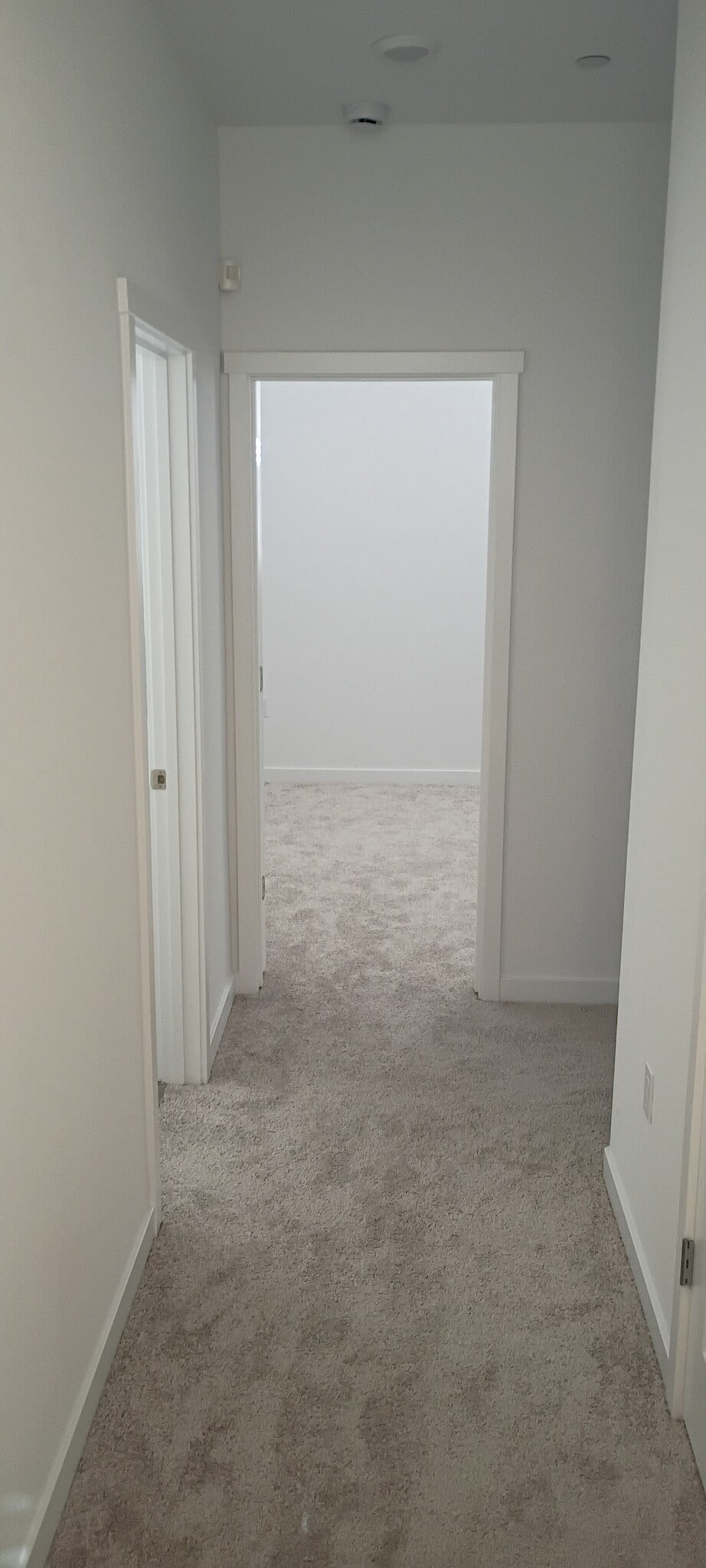 Building Photo - 821 Lake Park Cir