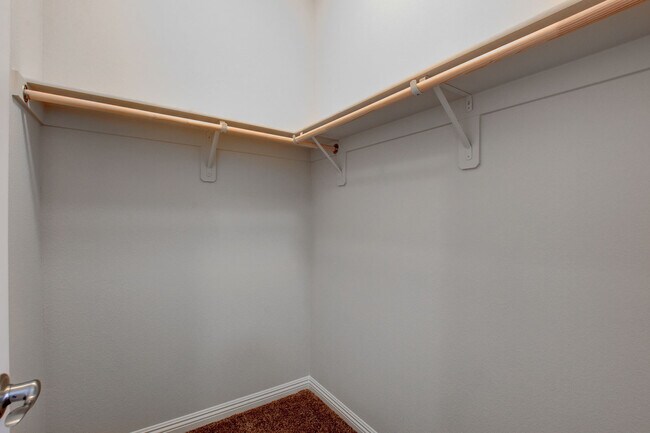 Building Photo - 2919 Caxton Grove Dr
