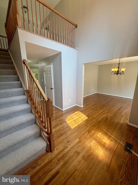 Building Photo - 3915 Carlyle Ct