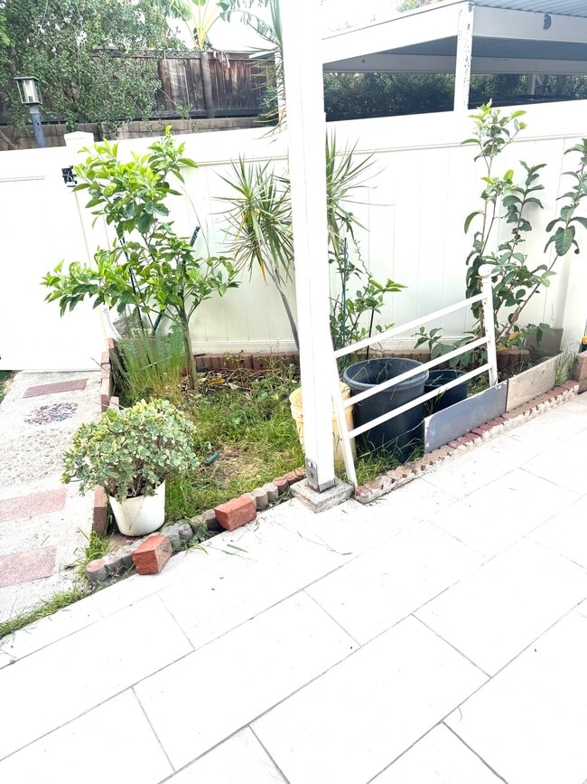 outside yard lemon tree - 8463 De Soto Ave