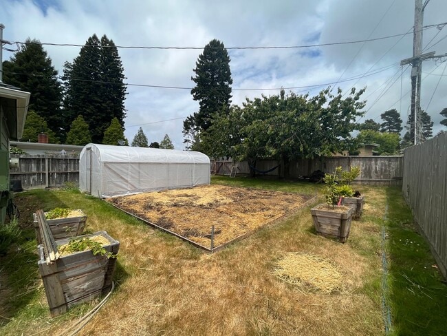 Building Photo - 3 bedroom, 1 bathroom home next to Sequoia...