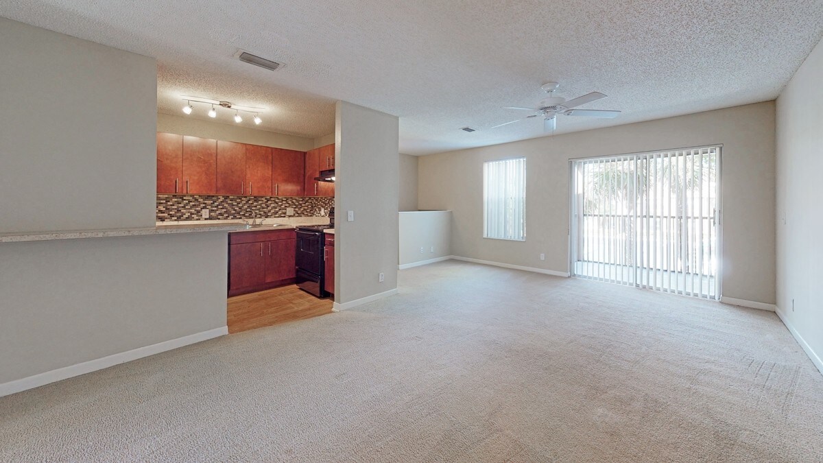 Coral Falls Coral Springs Coral Falls Coral Springs