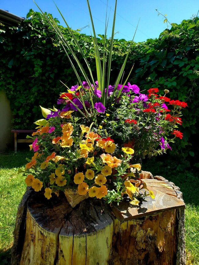 Building Photo - 6820 1/2 North Montana Avenue-SI ID1492821P