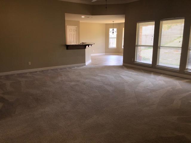 Building Photo - 217 Cass Cir