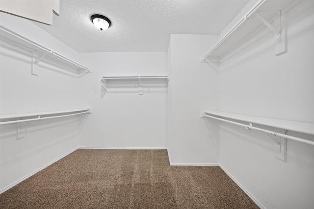 Building Photo - 115 Walnut Dr