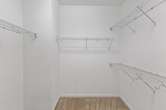 Building Photo - 1017 Fitchie Pl