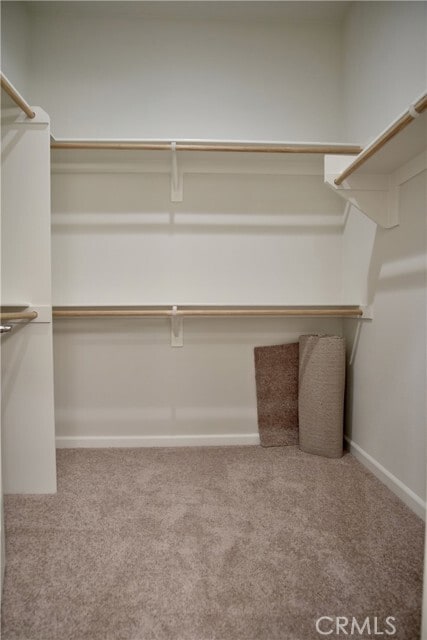 Building Photo - 3368 C. Luna Nueva