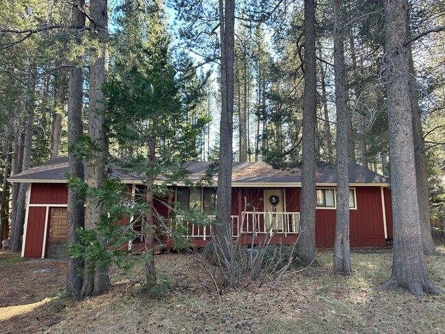 Primary Photo - Hidden Gem in Peaceful Forest Setting- Pet...