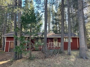 Building Photo - Hidden Gem in Peaceful Forest Setting- Pet...