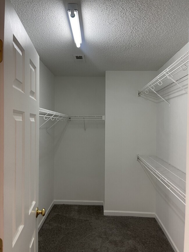 Building Photo - 3713 Single Leaf Cir