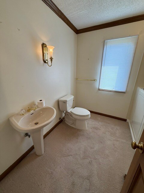Building Photo - 590 Wedgwood Dr