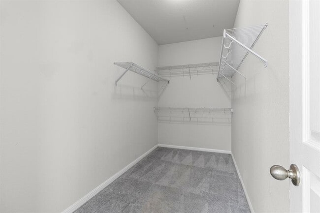 Building Photo - 4209 Rolling Water Dr