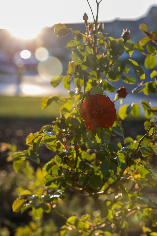 Building Photo - 617 Copper Ridge Way