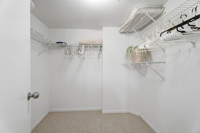 Building Photo - 3870 N Hwy A1A