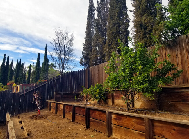 Building Photo - 3509 Baywood Cir