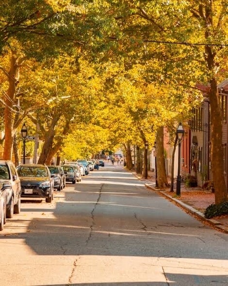 Building Photo - 47 Sheldon St