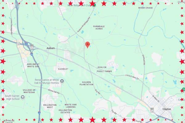 Building Photo - 196 Aster Bloom Ln