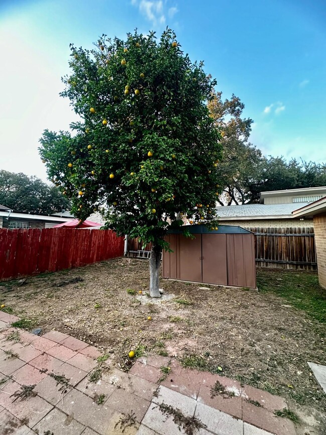 Building Photo - 5808 Longoria Loop