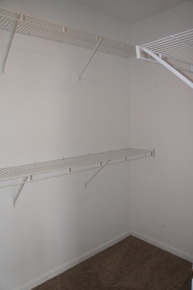 Building Photo - 693 Savannah Ln