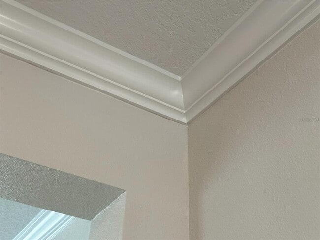 Building Photo - 17216 Mango Shay Ct