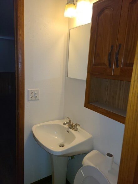 Lower Level: 1/2 Bath - 217 S Water St