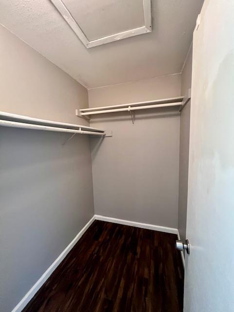 Building Photo - 4309 Acropolis Ct
