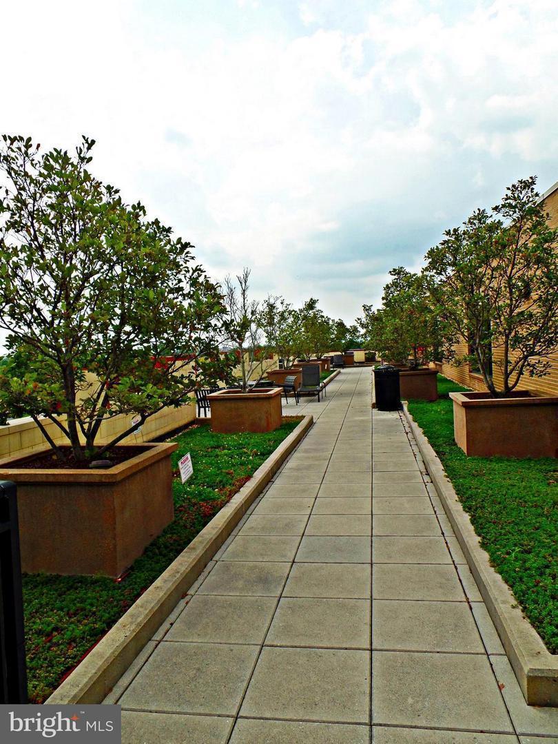 Building Photo - 525 N Fayette St