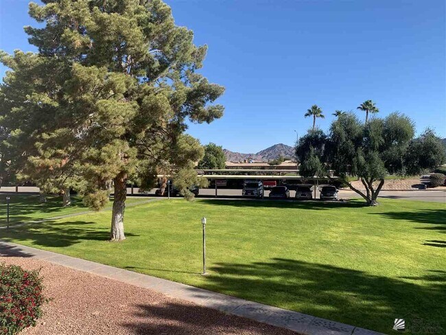 Building Photo - 10642 S Camino Del Sol