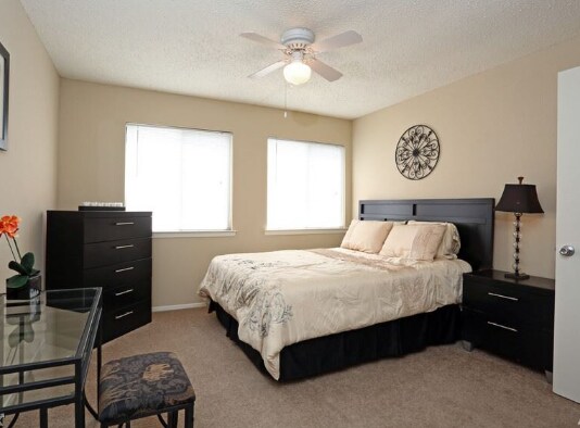 Building Photo - 2829 Timmons-221.445