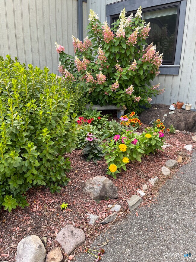 Building Photo - 44 Heritage Vlg